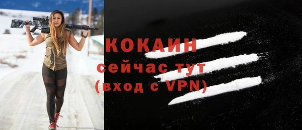 ГАЛЛЮЦИНОГЕННЫЕ ГРИБЫ Михайлов