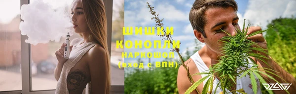 гидропоника Гусь-Хрустальный