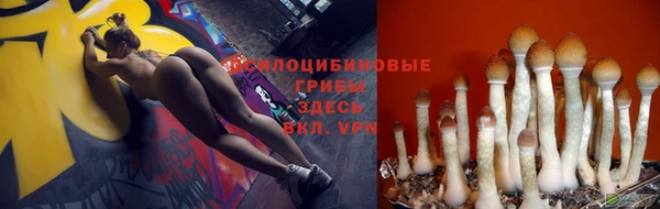 герыч Переславль-Залесский