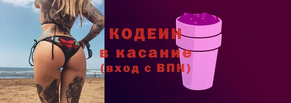 ГАЛЛЮЦИНОГЕННЫЕ ГРИБЫ Михайлов