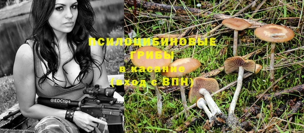 ГАЛЛЮЦИНОГЕННЫЕ ГРИБЫ Михайлов