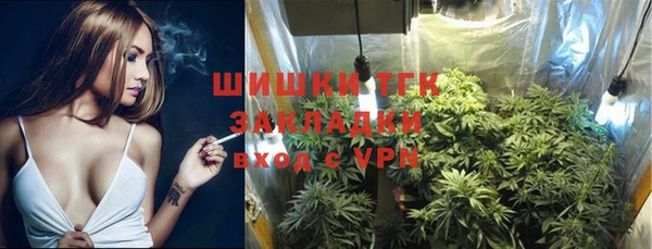 ГАЛЛЮЦИНОГЕННЫЕ ГРИБЫ Михайлов