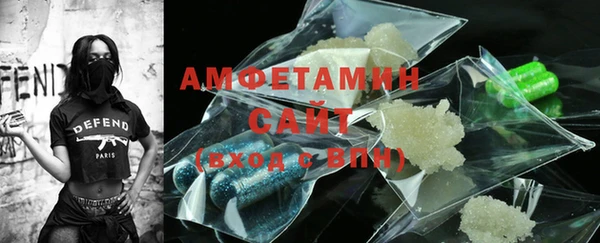 ГАЛЛЮЦИНОГЕННЫЕ ГРИБЫ Михайлов