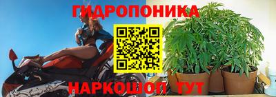 каннабис Волжский