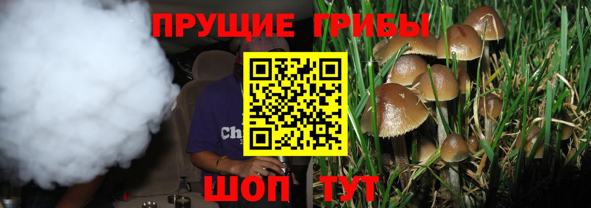 Галлюциногенные грибы Magic Shrooms Чита